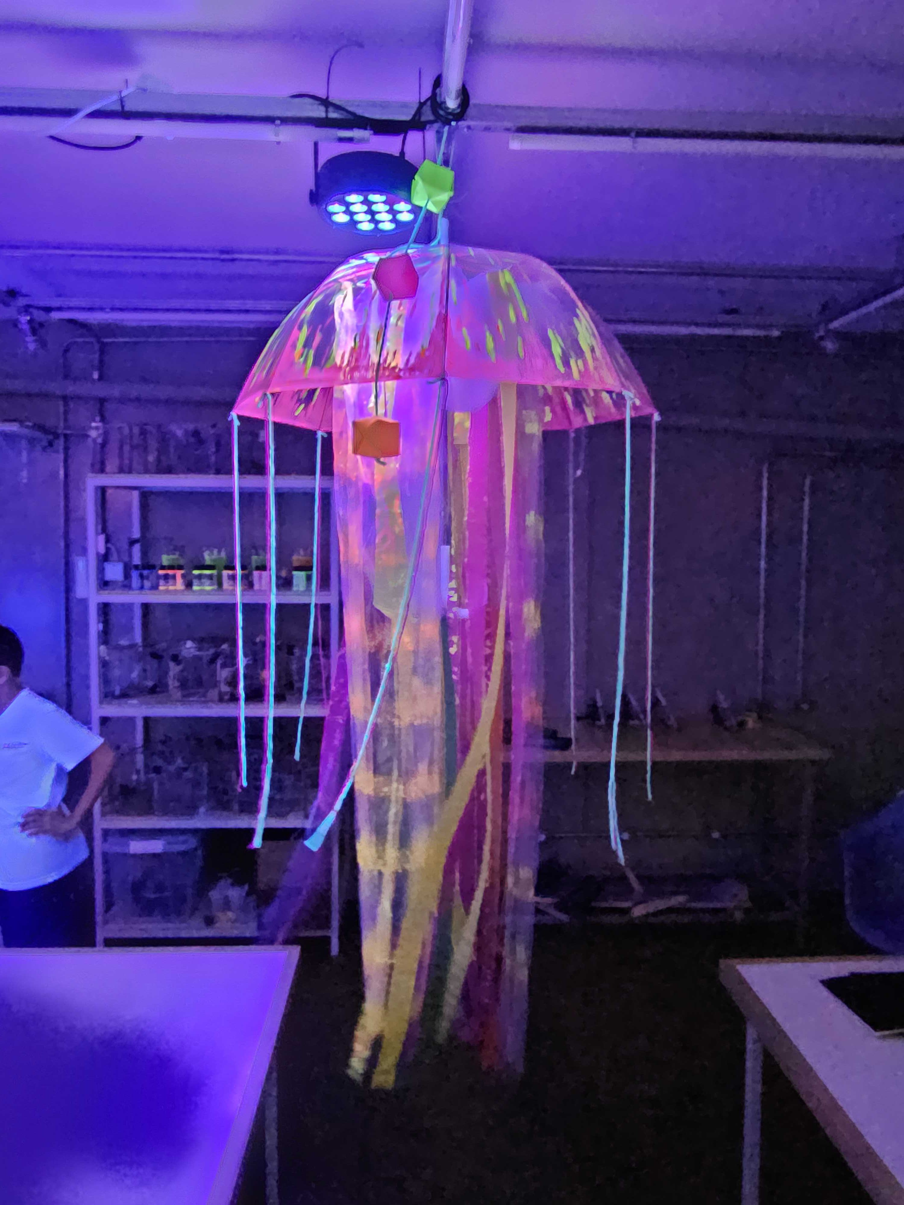 20240504_085456
